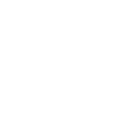 Libertarian Institute